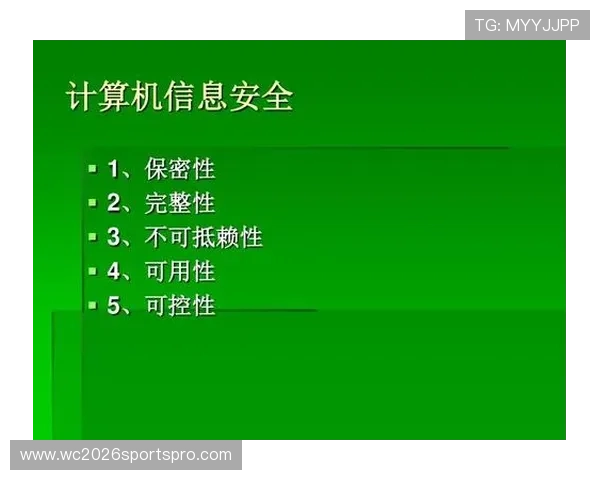 U体育真人版全站登录安全保障措施全面分析确保用户账号信息安全无忧